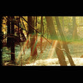 Childish Gambino - Camp (Black, 180 Gram Vinyl) (2 Lp's) Vinyl
