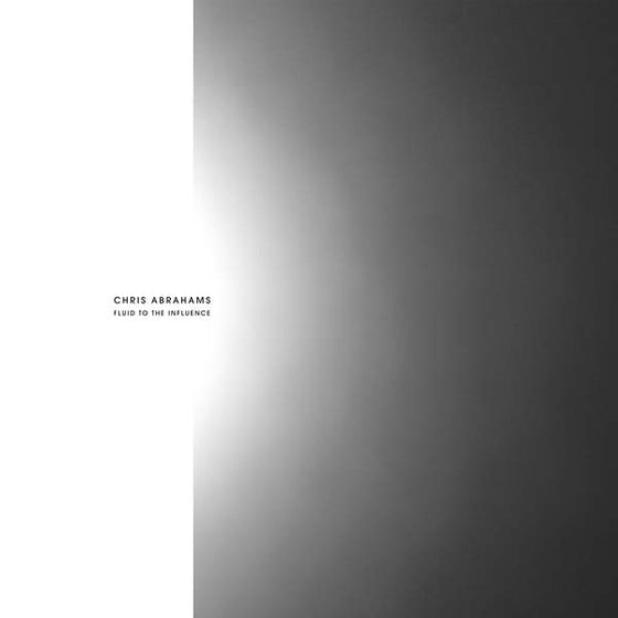 CHRIS ABRAHAMS - Fluid To The Influence Vinyl LP
