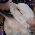 CHRISTIAN FENNESZ & JIM O'ROURKE - It's Hard For Me To Say I'm Sorry CD CD