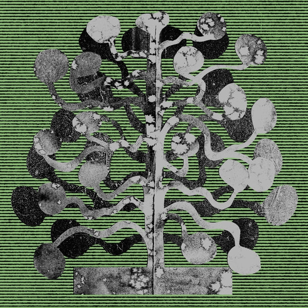 CHURCH ANDREWS & MATT DAVIES - Yucca Vinyl LP