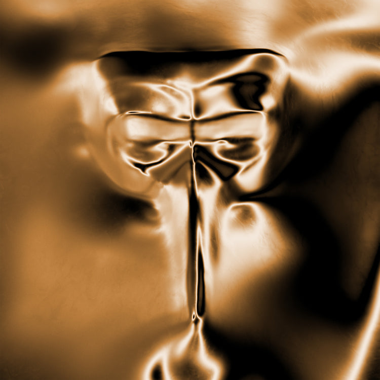 Claptone - Wanderer (Indie Exclusive) [Black & Gold Nebula Vinyl] Vinyl