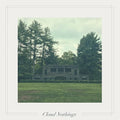 Cloud Nothings - Life Is Only One Event Vinyl