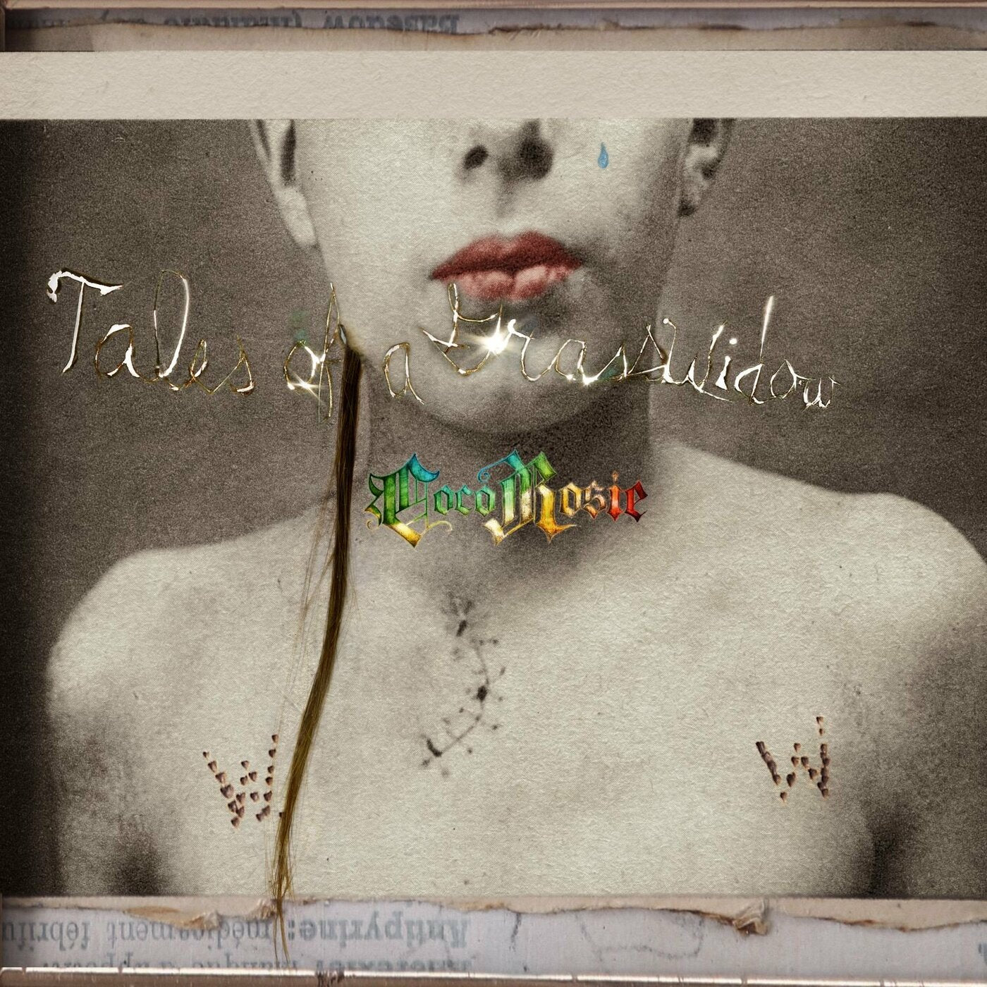 CocoRosie - Tales Of A GrassWidow Vinyl