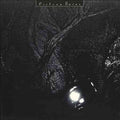 Cocteau Twins - Pink Opaque (180 Gram Vinyl, Digital Download Card) Vinyl LP standard Jacket