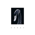 COH - COHGS Vinyl LP