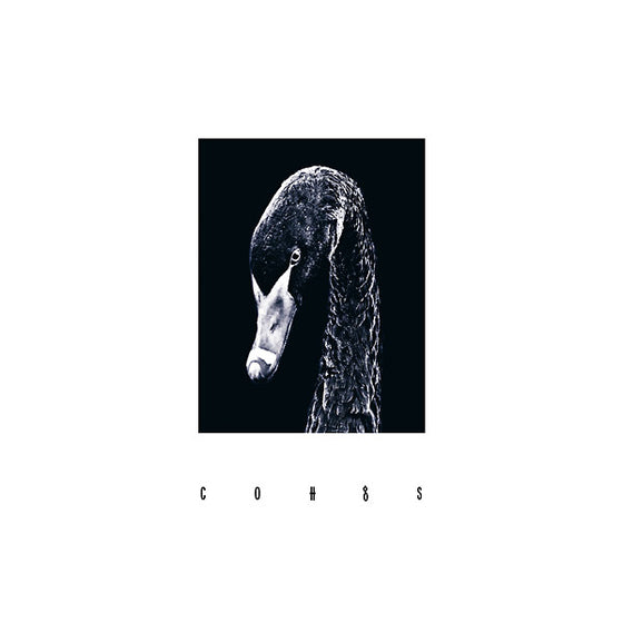 COH - COHGS Vinyl LP