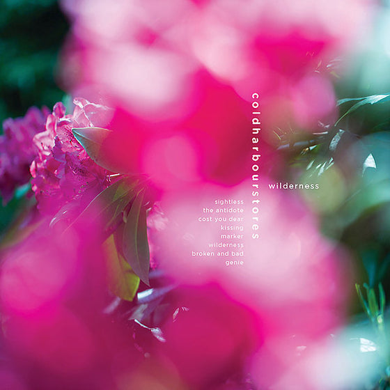 COLDHARBOURSTORES - Wilderness CD