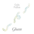 COLE PULICE - Gloam Vinyl LP