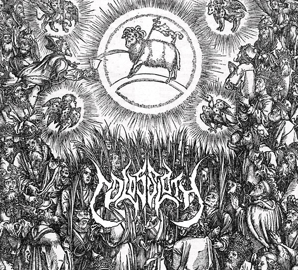 COLOSSLOTH - Heathen Needles CD CD