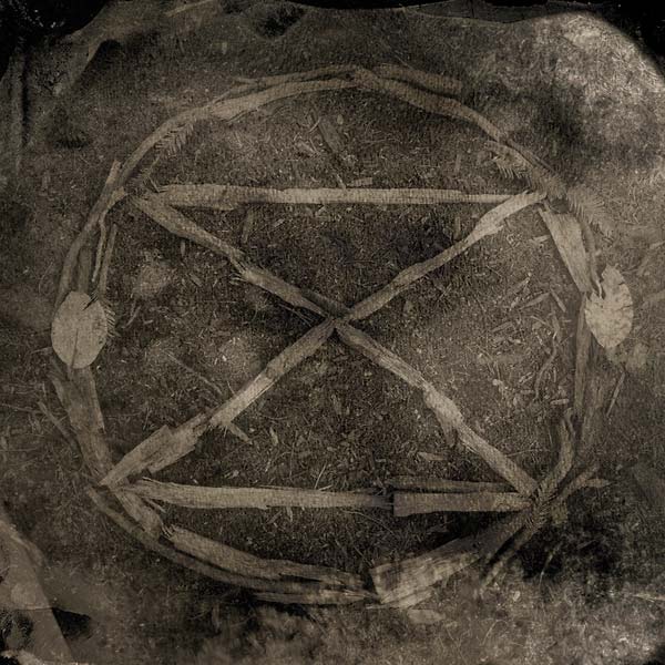 COMMON EIDER, KING EIDER - Extinction CD CD