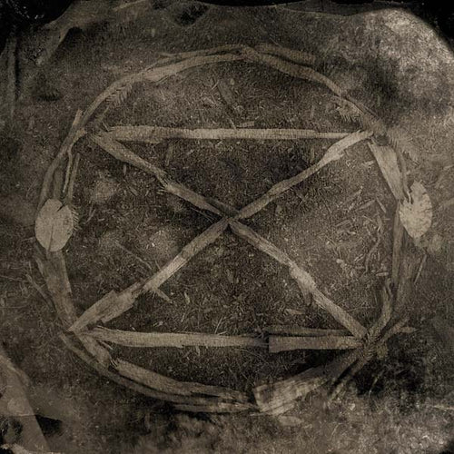 COMMON EIDER, KING EIDER - Extinction CD CD