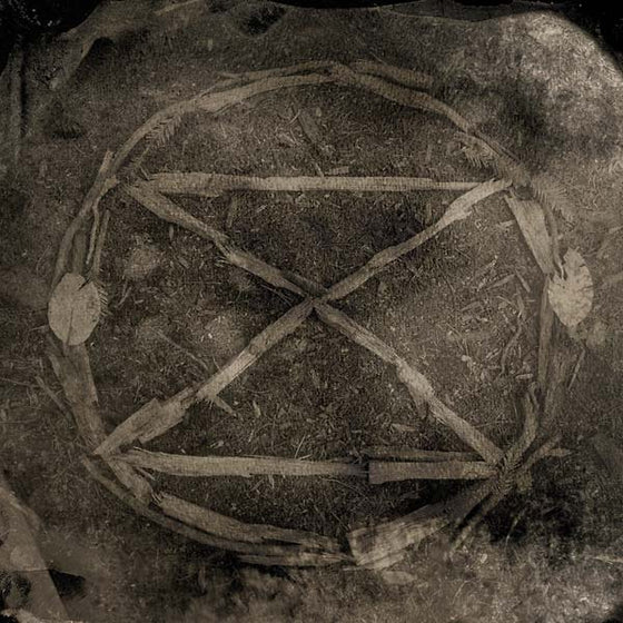 COMMON EIDER, KING EIDER - Extinction CD