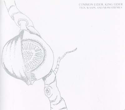 COMMON EIDER, KING EIDER - Figs, Wasps, And Monotremes CD
