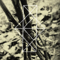 COMMON EIDER, KING EIDER - Shrines For The Unwanted, Respite For The Cast Aside CD CD