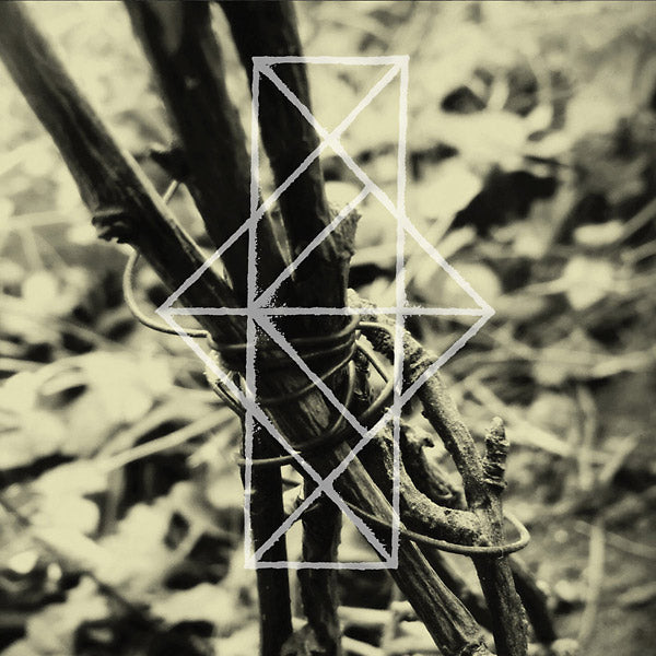 COMMON EIDER, KING EIDER - Shrines For The Unwanted, Respite For The Cast Aside CD CD