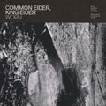 COMMON EIDER, KING EIDER - Worn Vinyl LP