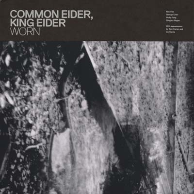 COMMON EIDER, KING EIDER - Worn Vinyl LP