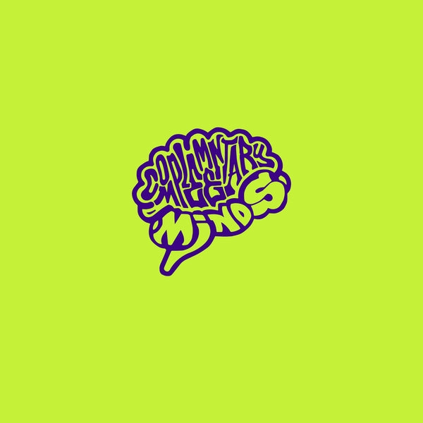 COMPLEMENTARY MINDS - Complementary Minds Vol. 2 Vinyl LP