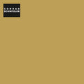 CONRAD SCHNITZLER - Gold CD CD