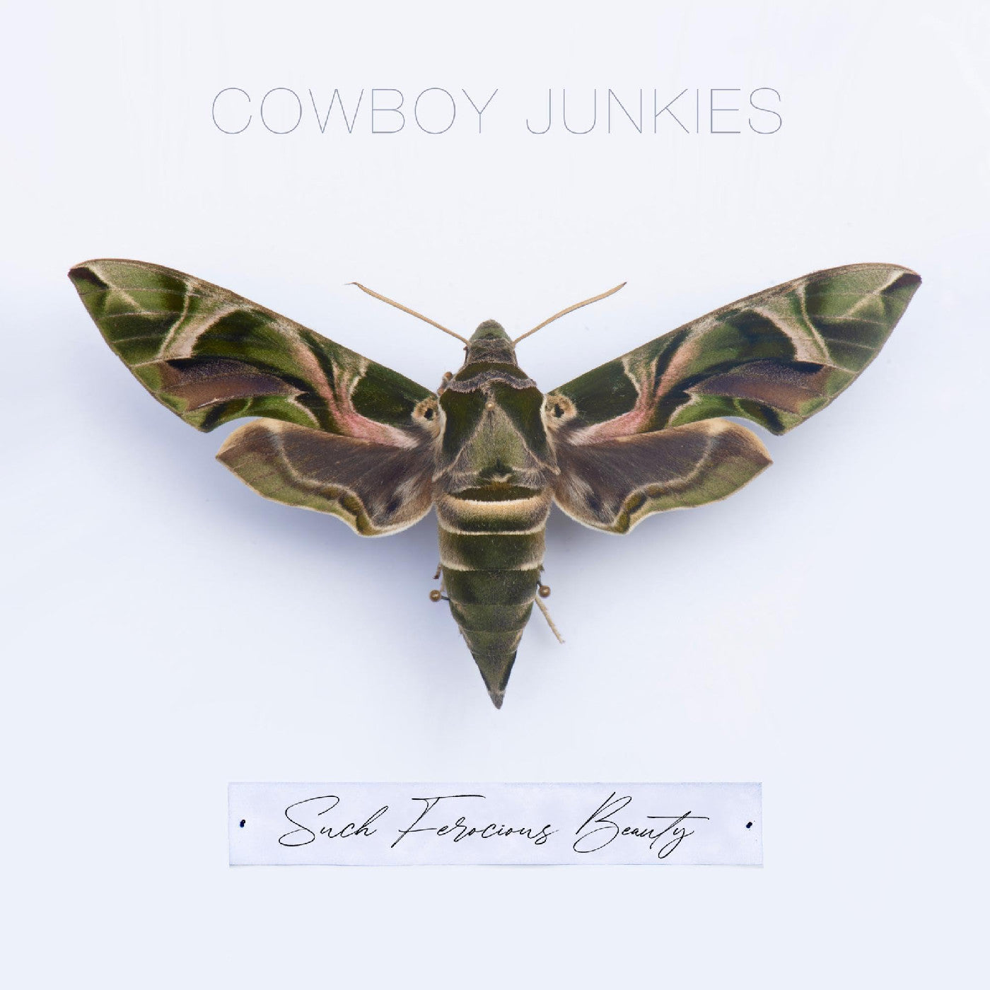 Cowboy Junkies - Such Ferocious Beauty (Green Translucent Vinyl) Vinyl
