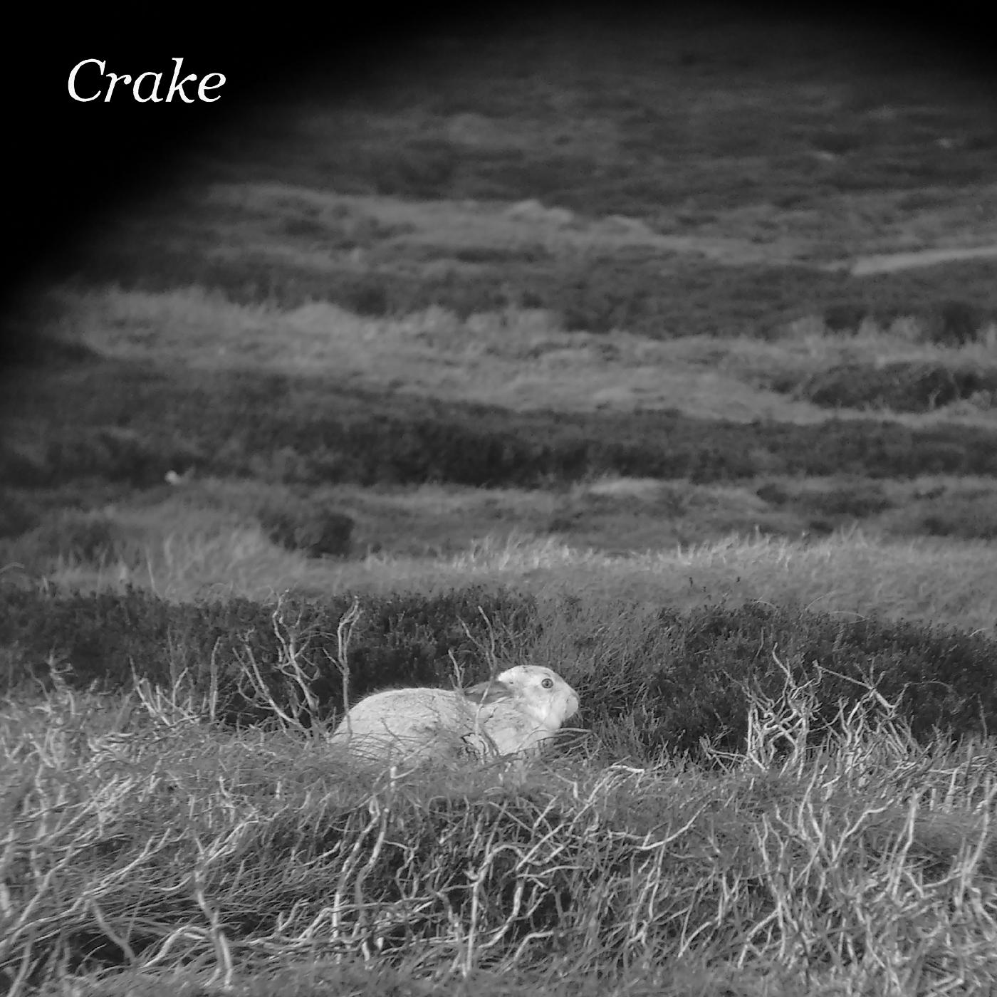 Crake - Enough Salt (For All Dogs) b/w Gef Vinyl 7" Vinyl [w/ download card]