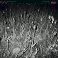CUCINA POVERA & ELS - The Oystercatcher Vinyl LP