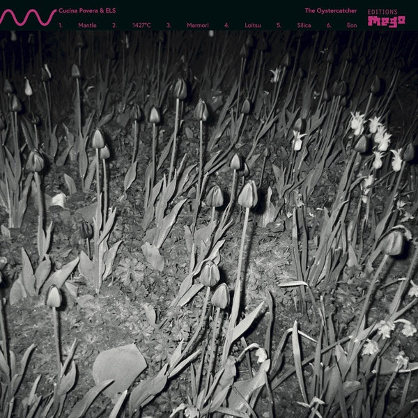 CUCINA POVERA & ELS - The Oystercatcher Vinyl LP