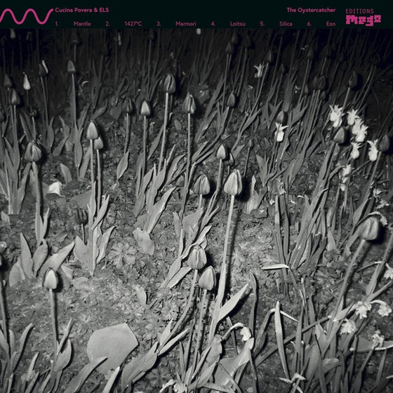 CUCINA POVERA & ELS - The Oystercatcher Vinyl LP