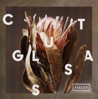 CUT GLASS - Fallen CD CD