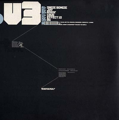 D1 - D1 V3 Vinyl 2x12"