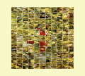 Dalhous - Will to Be Well CD CD