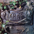 Damned - BLACK ALBUM Vinyl