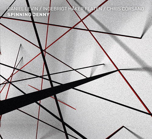 DANIEL LEVIN/INGEBRIGT HAKER FLATEN/CHRIS CORSANO - Spinning Jenny CD CD