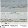DANIELA FROMBERG & STEFAN ROIGK - Unfamiliar Home Vinyl LP