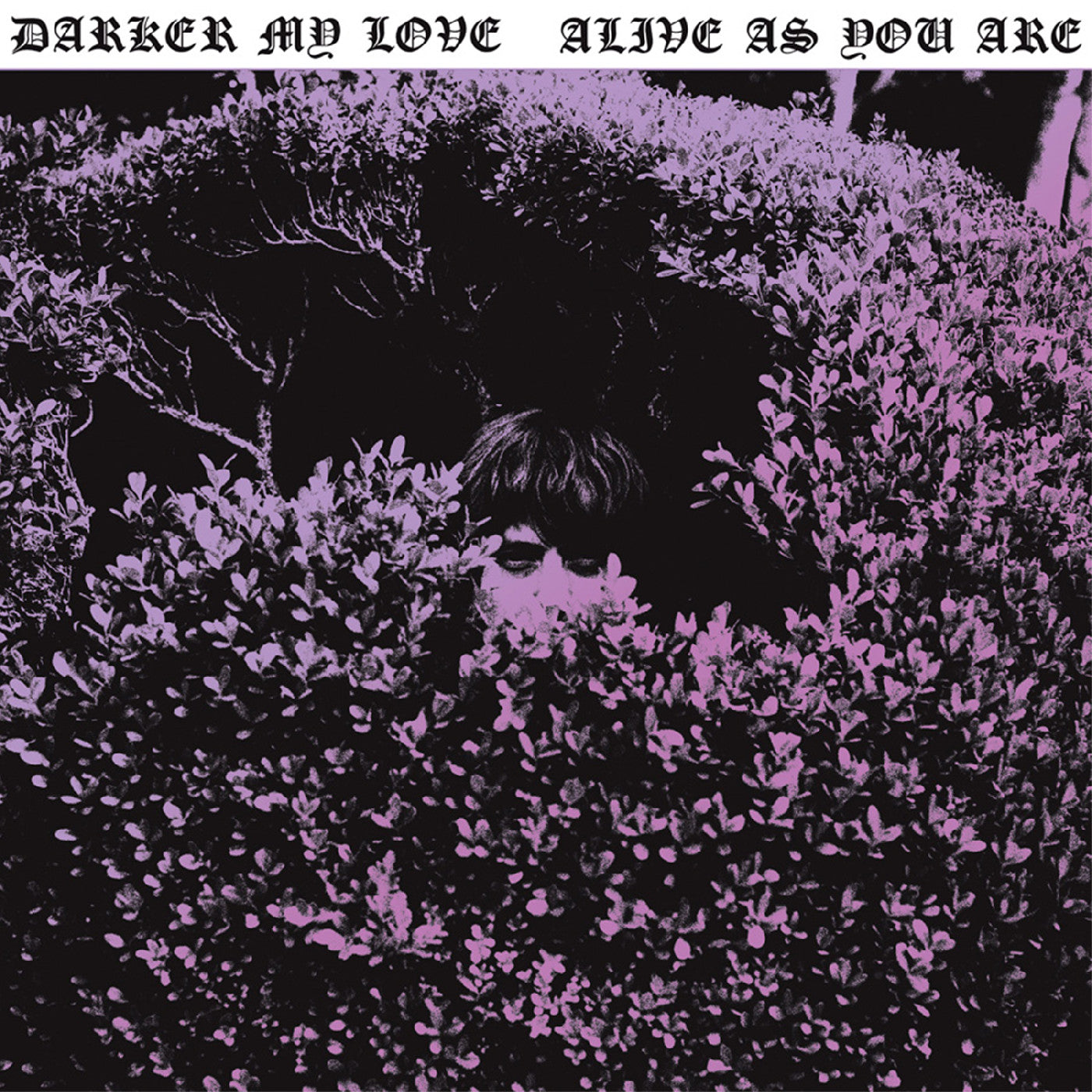 Darker My Love - Alive As You Are CD