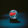 Darkside - Nothing Vinyl