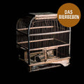 DAS BIERBEBEN - Das Bierbeben CD CD