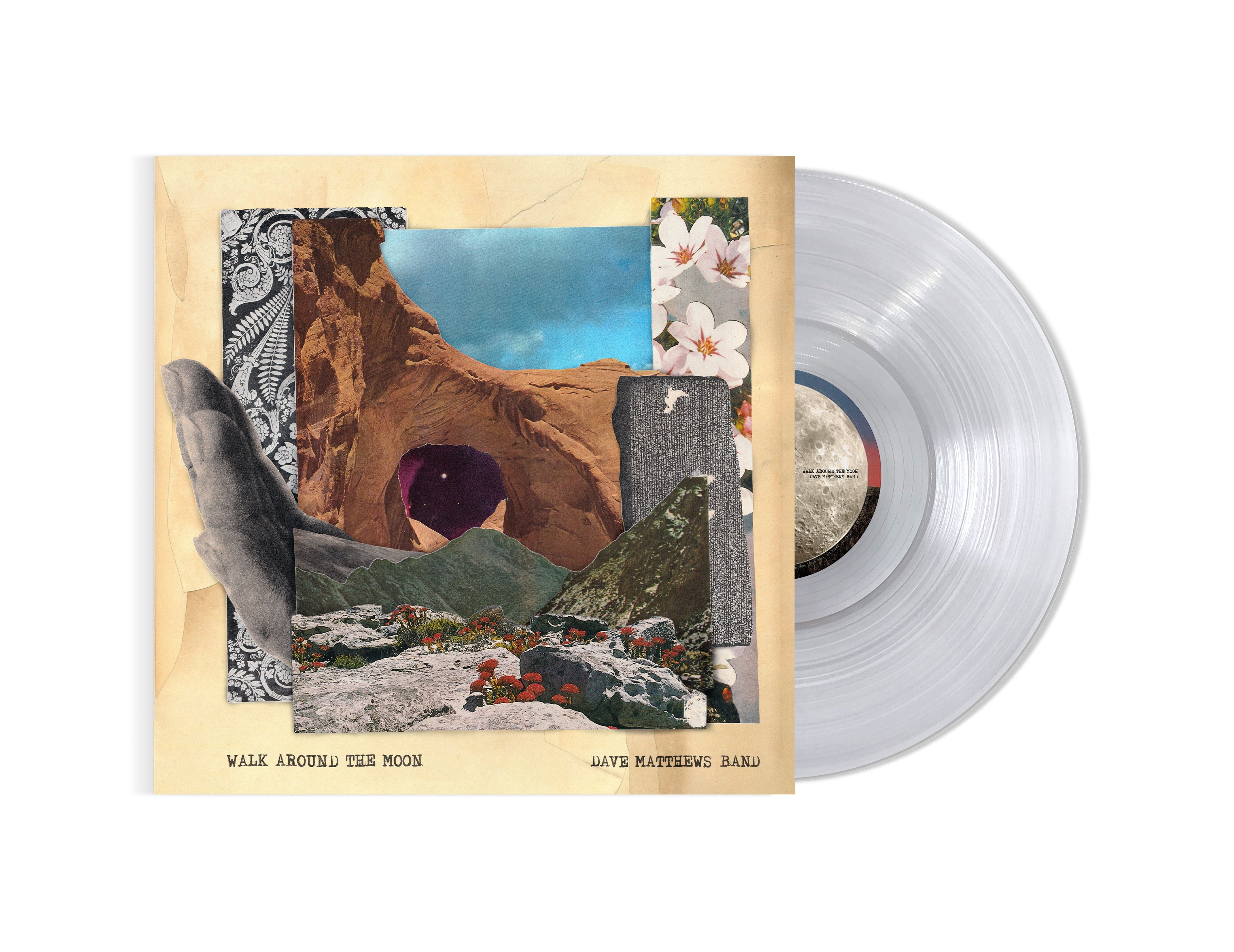 Dave Matthews Band - Walk Around The Moon (Clear Vinyl, Indie Exclusive) Vinyl