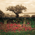 Dave Quintet Douglas - Be Still Vinyl 12" 180-Gram LP with Download Card
