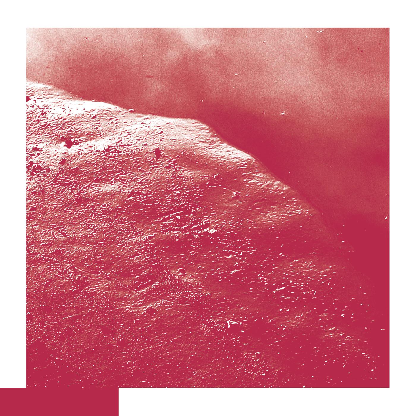 David Allred - The Cell Vinyl 12" Vinyl