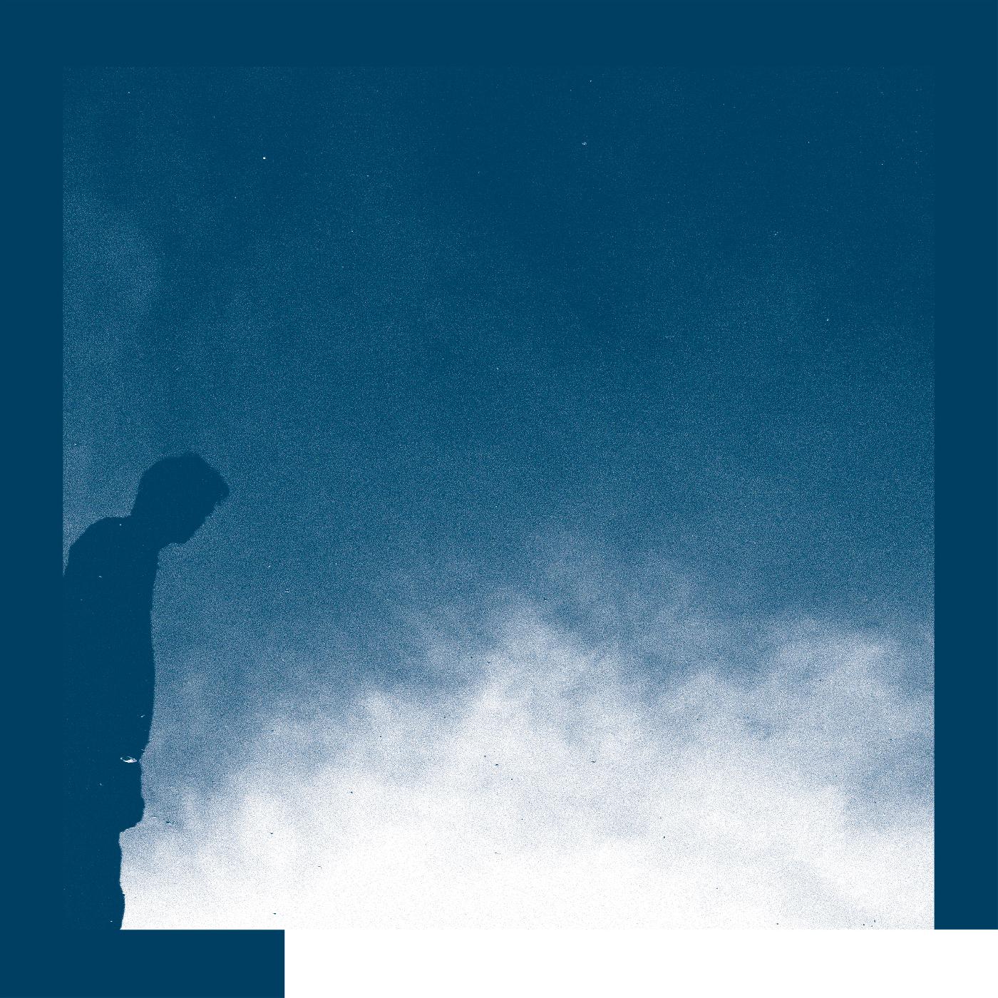 David Allred - The Transition Vinyl LP Download Card Included