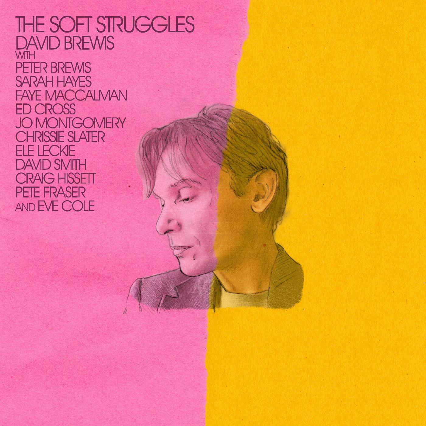 David Brewis - The Soft Struggles Vinyl LP [w/ download card]