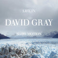 David Gray - Life in Slow Motion (20th Anniversary Edition) Vinyl