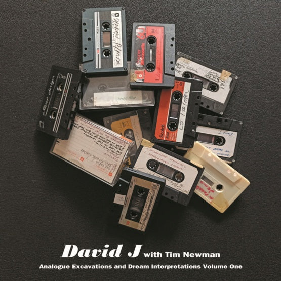 DAVID J WITH TIM NEWMAN - Analogue Excavations & Dream Interpretations Vol.1 Vinyl LP