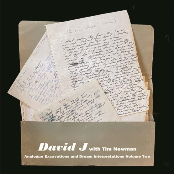 DAVID J WITH TIM NEWMAN - Analogue Excavations & Dream Interpretations Vol.2 Vinyl LP
