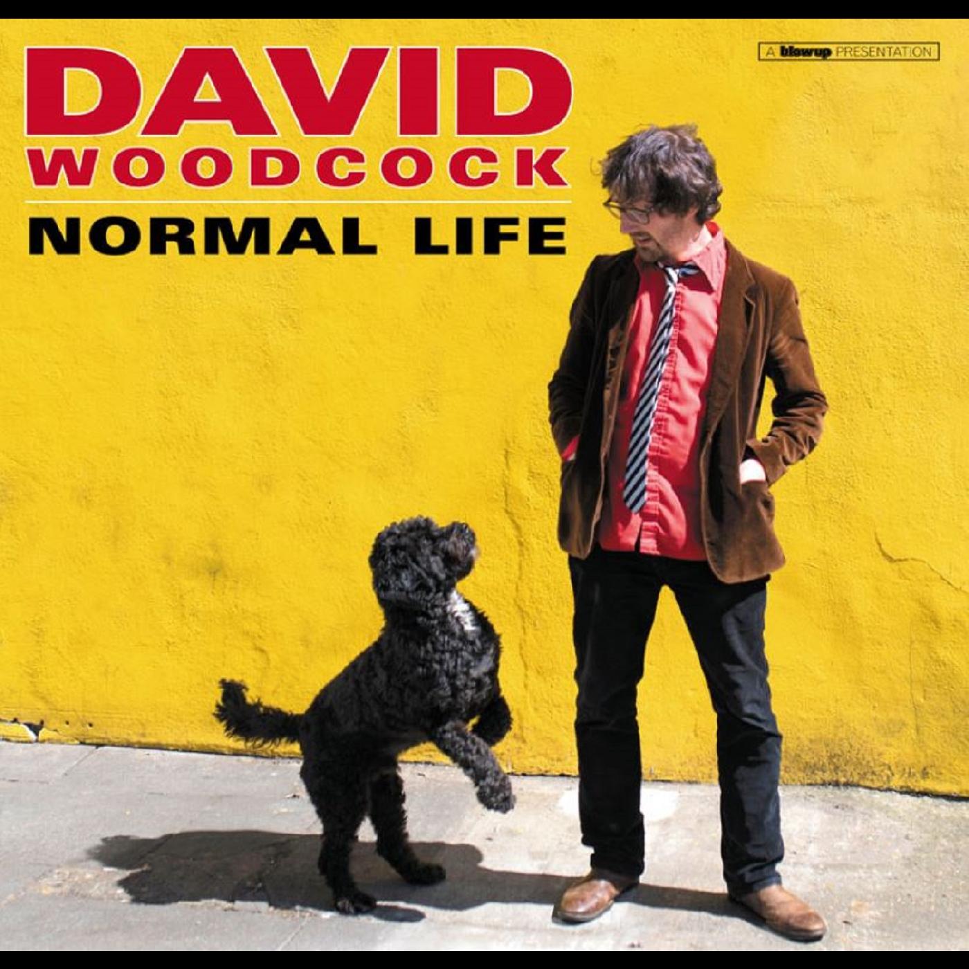 David Woodcock - Normal Life Vinyl LP 180g [w/ download card]
