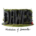 Dawes - Misadventures Of Doomscroller [LP] Vinyl