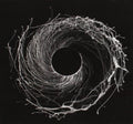 Dawn of Midi - Dysnomia Vinyl 2LP in Heavy-weight Sleeve w/ DL
