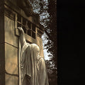 Dead Can Dance - Within The Realm Of The Dying Sun Vinyl LP standard Jacket