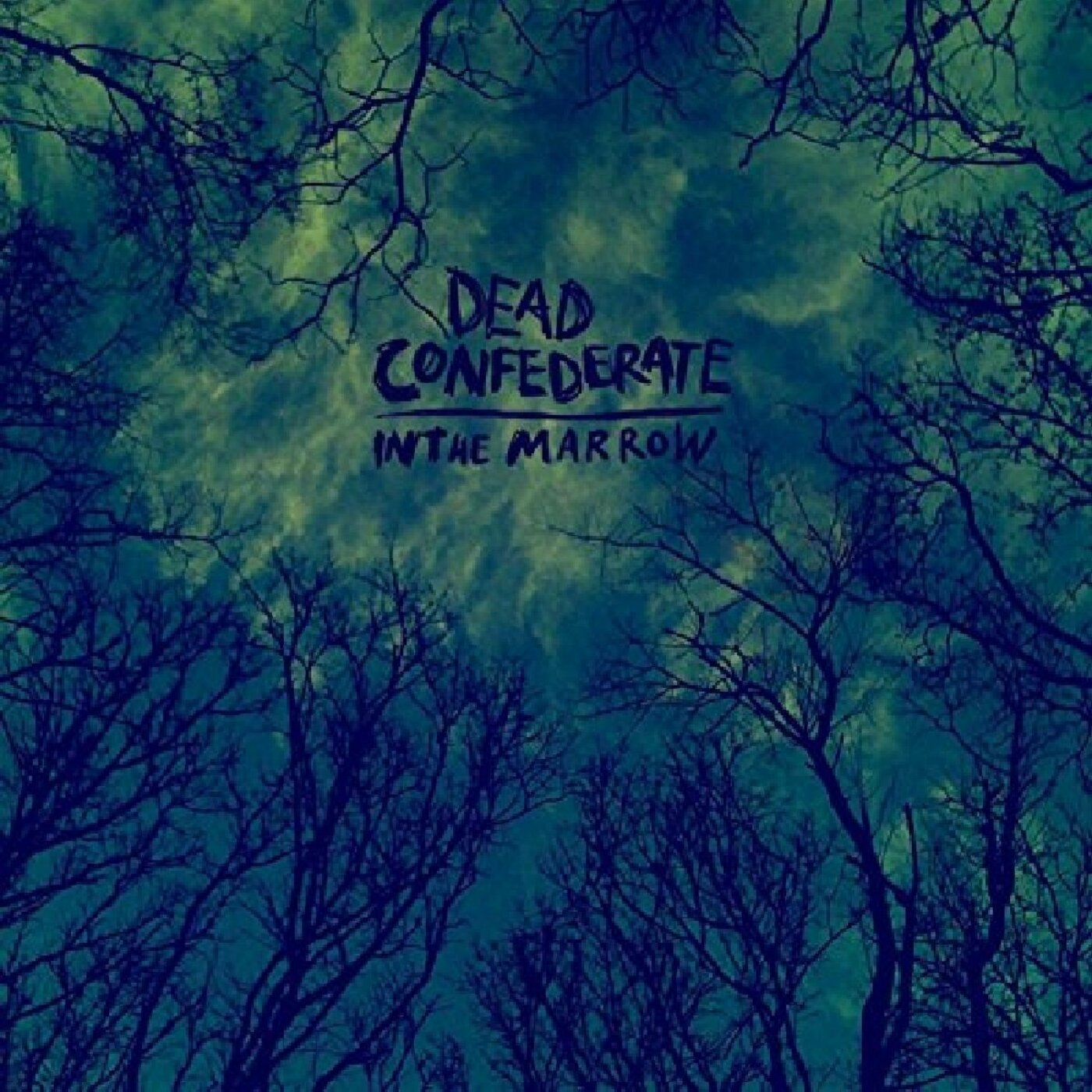 Dead Confederate - In The Marrow Vinyl Single LP